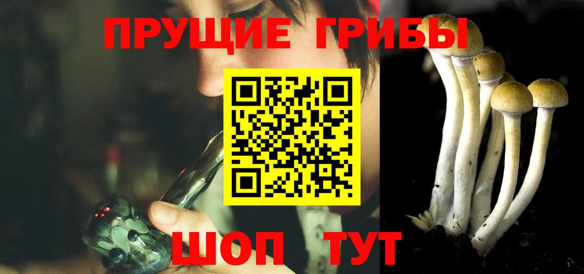 Псилоцибиновые грибы GOLDEN TEACHER Рыбинск